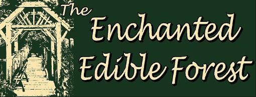 https://www.enchantededibleforest.com/ws/media-library/472b557eeb9245c4bd7f3ccd90c4c8f1/logo---ef.jpg